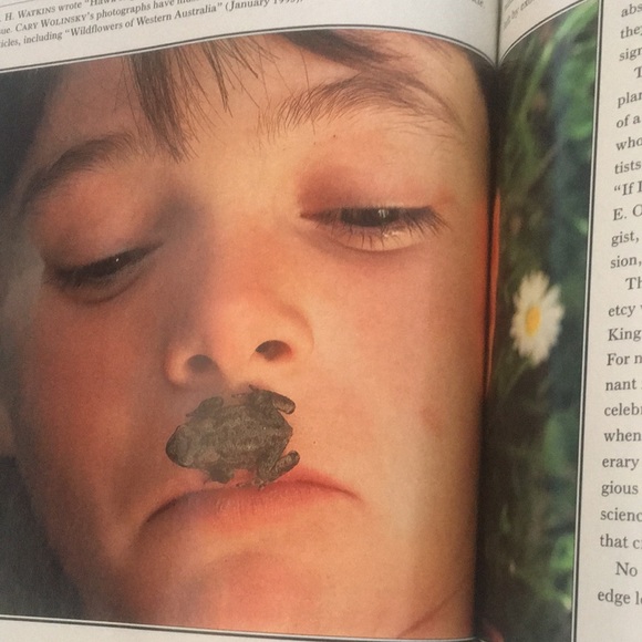 National Geographic Vol. 190 No. 5 November 1996 - Picture 8 of 14